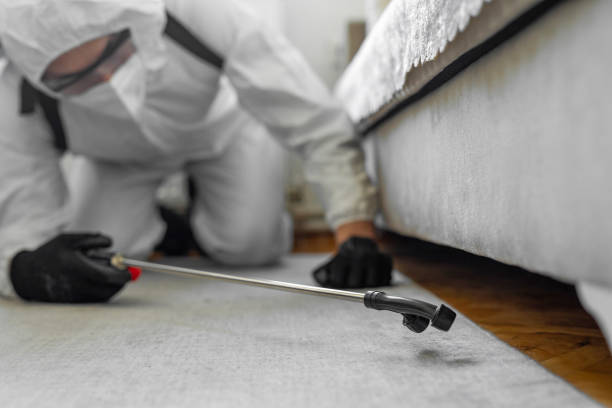 Professional Termite Control technician working in Monon, IN