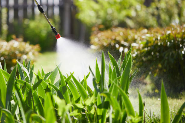 24/7 Emergency Termite Control experts in Monon, IN